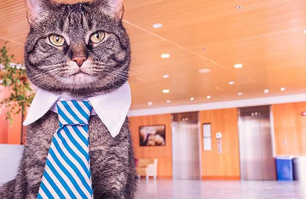 7 Fail-Safe Tips to Ace your Interview for Teaching English Online