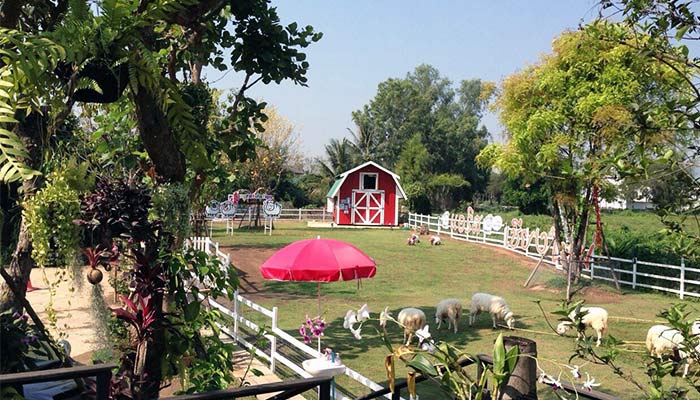 Aries Sheep Cafe Chiang Mai