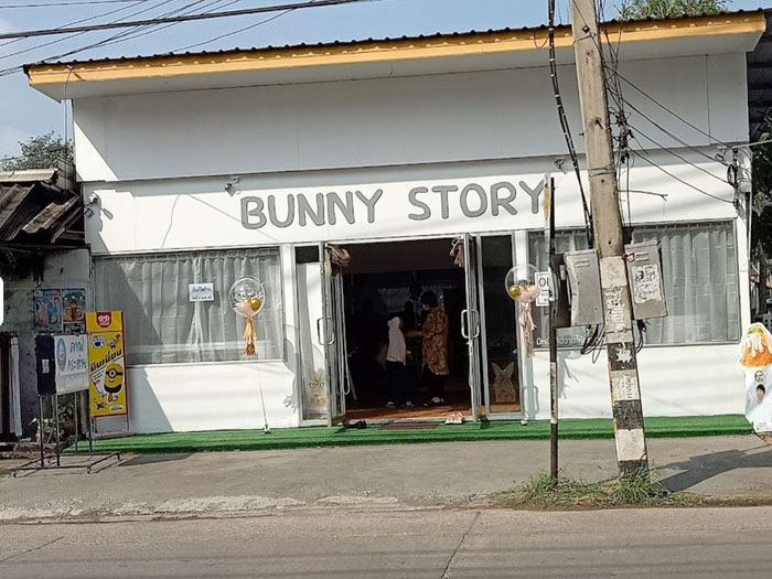 Bunny Story Rabbit Cafe Chiang Mai
