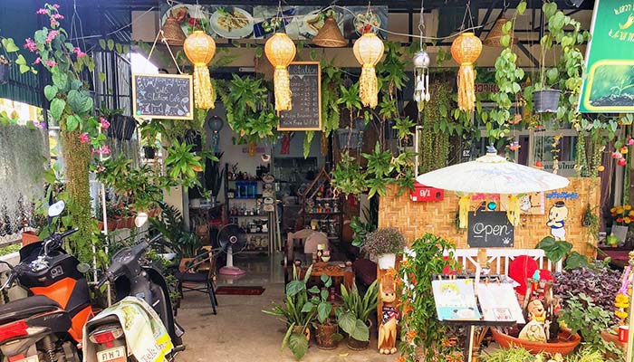 Cat Station Chiang Mai