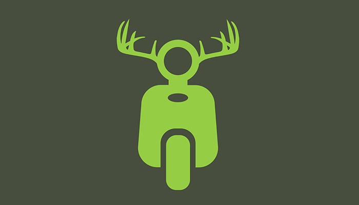 Deer Bike Rental Thailand