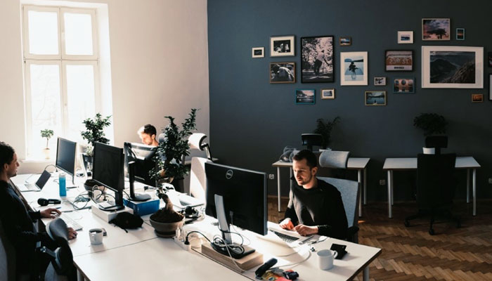 Kalafiornia Coworking Space, Krakow, Poland