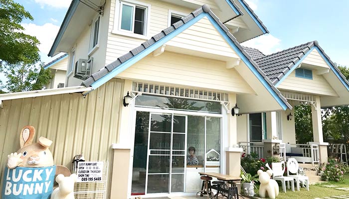 Lucky Bunny Rabbit Cafe